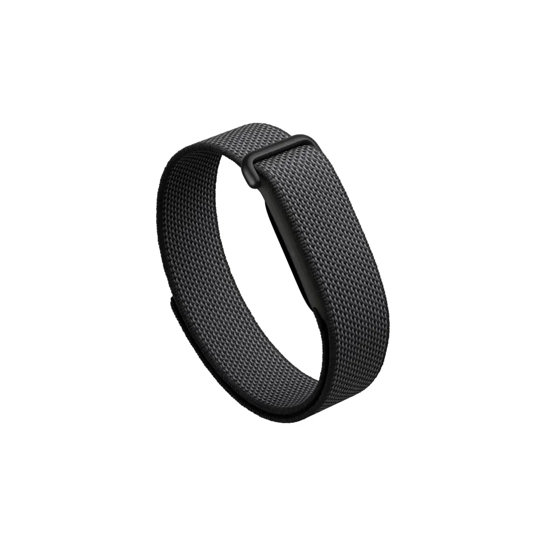 Google Fitbit Air